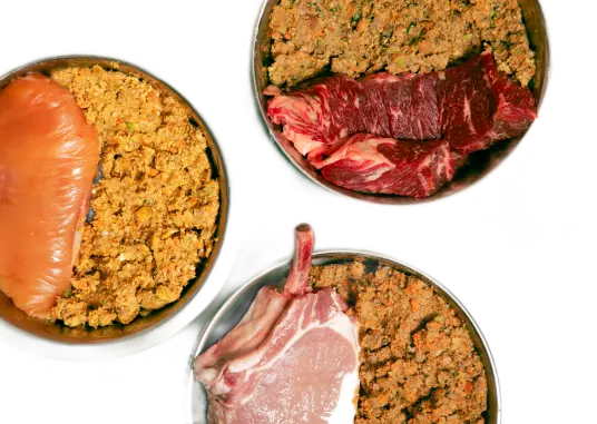 Alimento en platos para perros