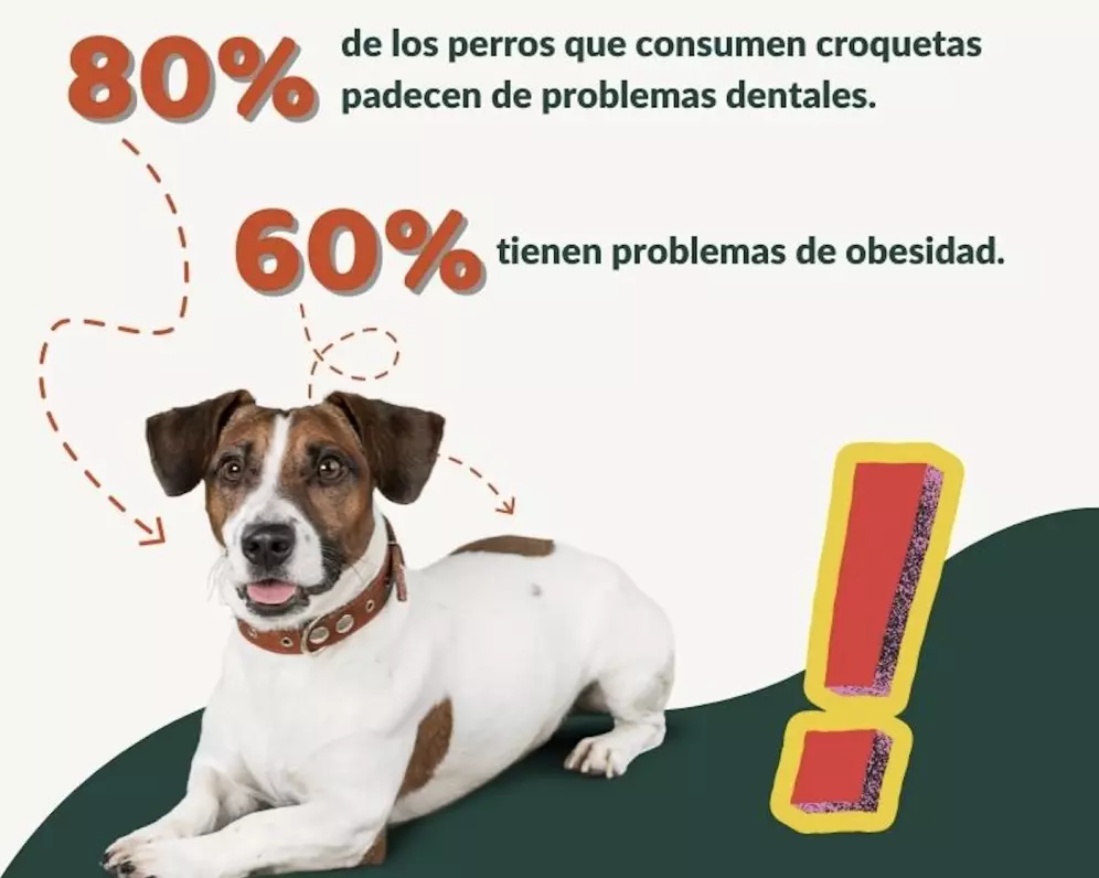 Persona comiendo galletas